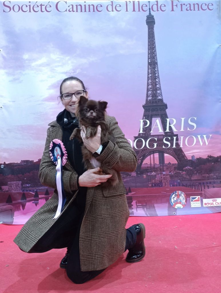 des Emeraudes de Nahusha - Résultats exposition Paris Dog Show