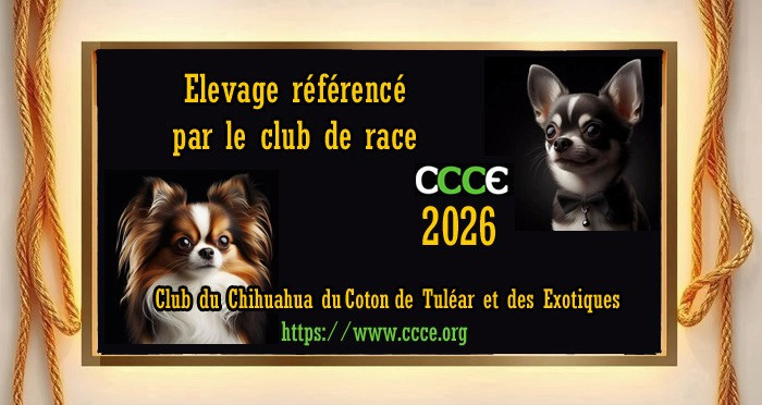 Elevage référencé par le club de race 2026